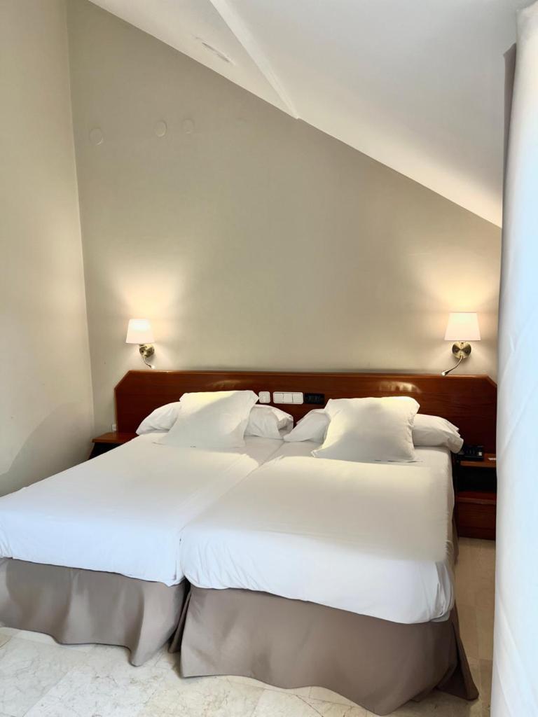 Hotel Olimpo Isla Plana Rum bild